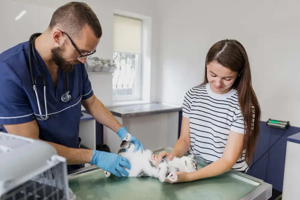 White cat with owner during first animal chiropractic appointment