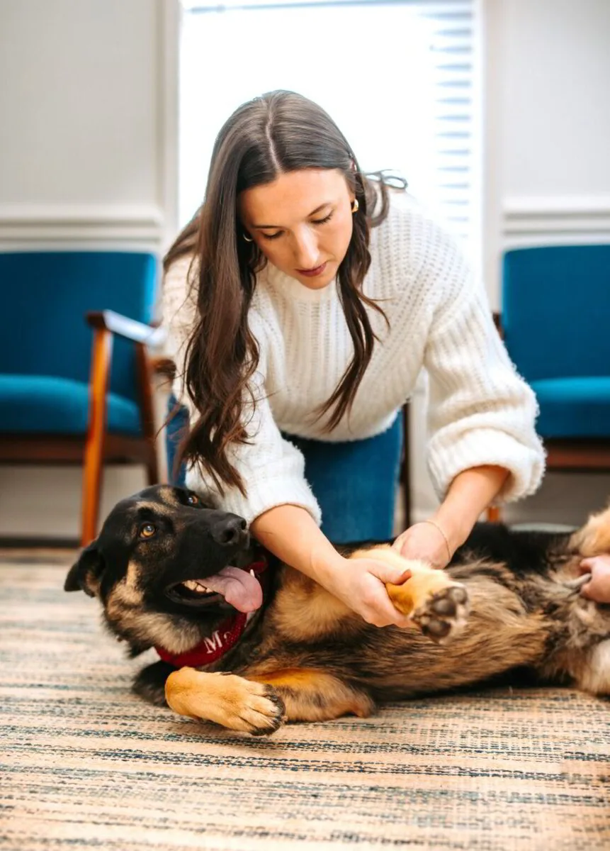 Animal chiropractic specialist Dr. Megan extending the front leg of a German Shepherd to evaluate joint range during a therapeutic visit