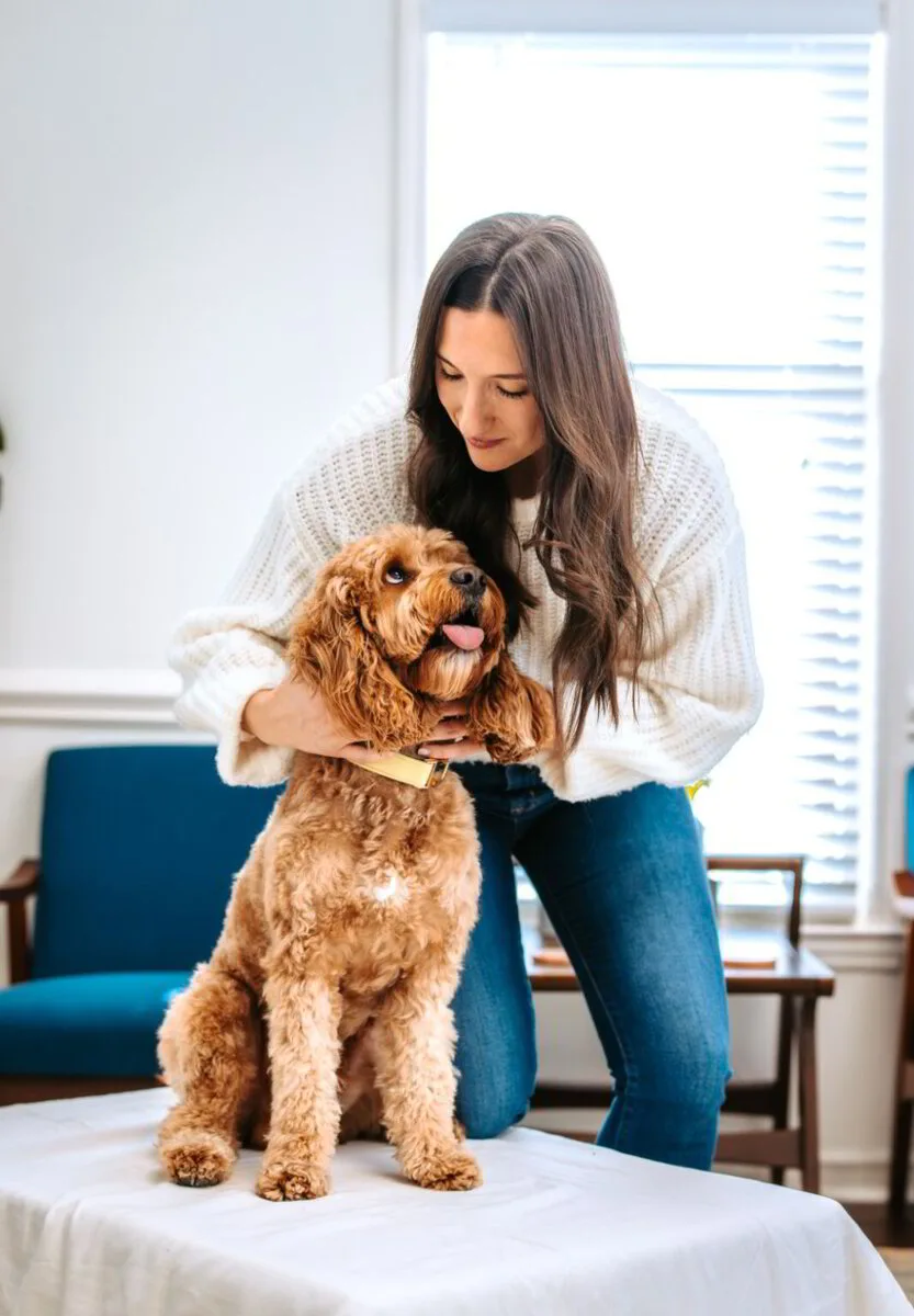 Animal chiropractic provider Dr. Megan assessing shoulder alignment of a seated doodle breed dog during a focused wellness visit