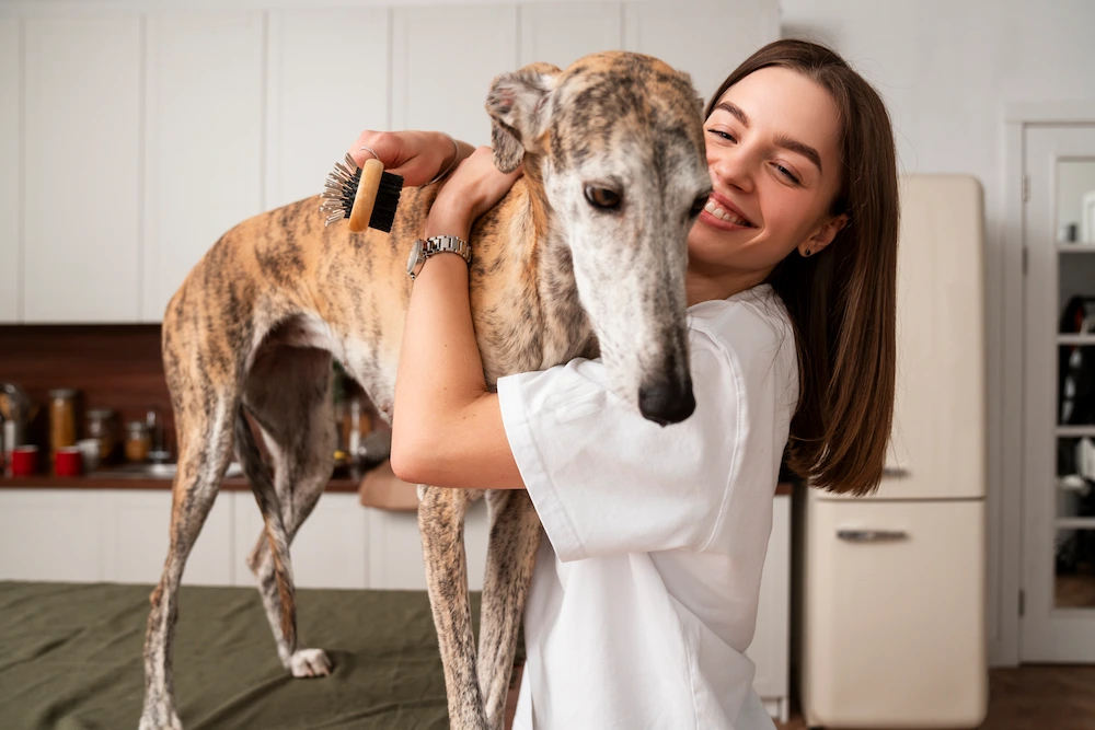 Animal chiropractor treating multiple types of animals in clinic