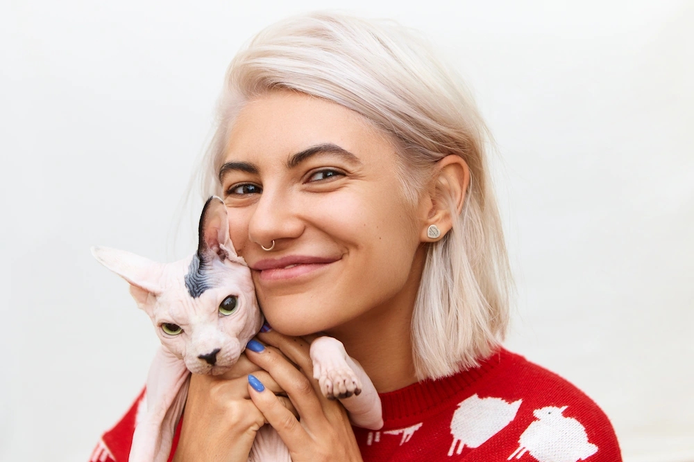Cat receiving gentle chiropractic care after injury