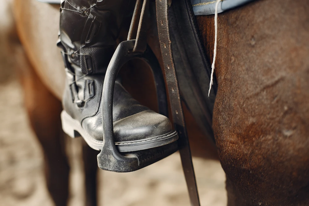 Horse showing signs of back pain related to saddle fit