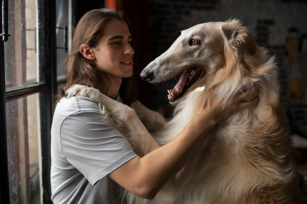 Active dog receiving chiropractic care for injury prevention