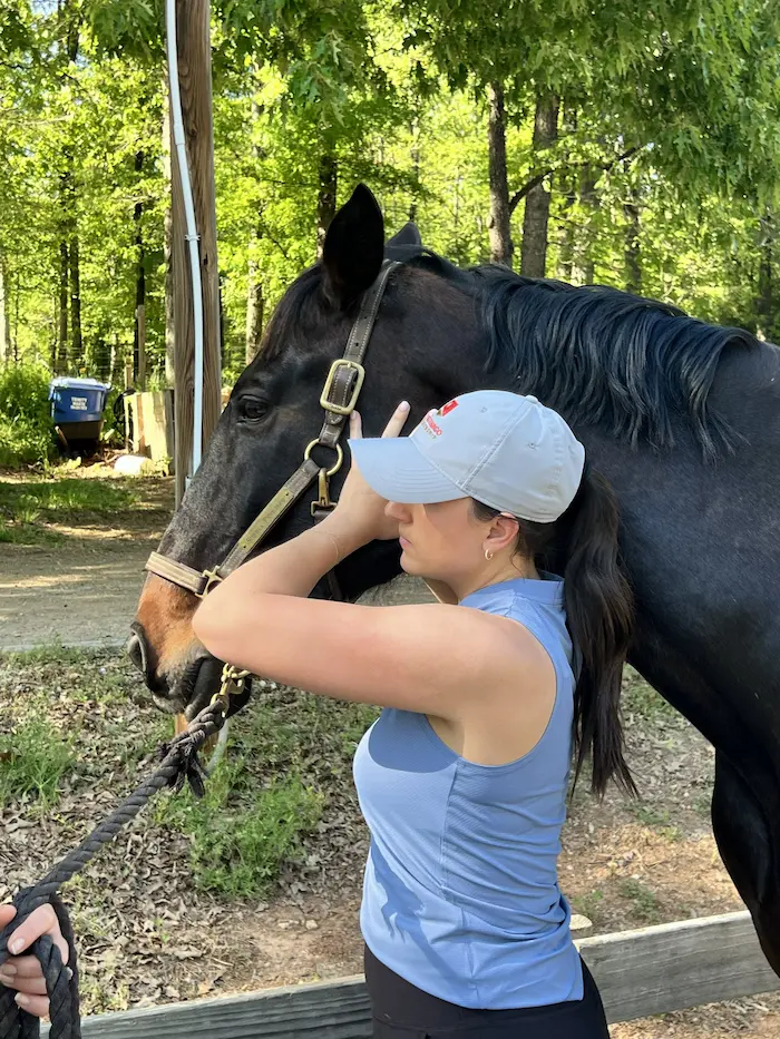 A person in a blue top and grey cap gently interacts with a dark horse wearing a brown halter, outdoors.
